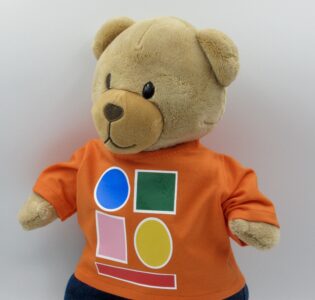 De foto van het product Shirt "Vormen en Kleuren" v. beer Kiki