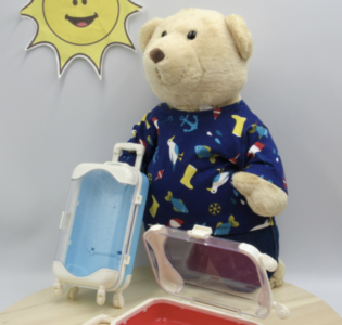 De foto van het product Koffer (mini) in rood of blauw