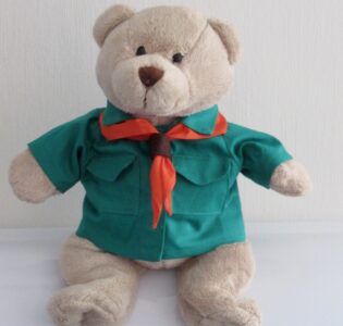 De foto van het product Scoutingblouse + das voor beer Kiki