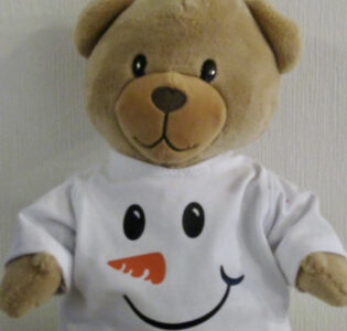 De foto van het product Sneeuwpop shirt beer Kiki