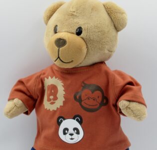 De foto van het product Dierentuin shirt v. beer Kiki