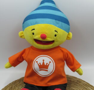 De foto van het product Koningsdagshirt voor Puk