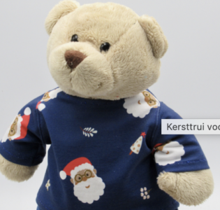 De foto van het product Kersttrui voor beer Kiki