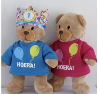 De foto van het product Verjaardagsshirt + kroon v. beer Kiki